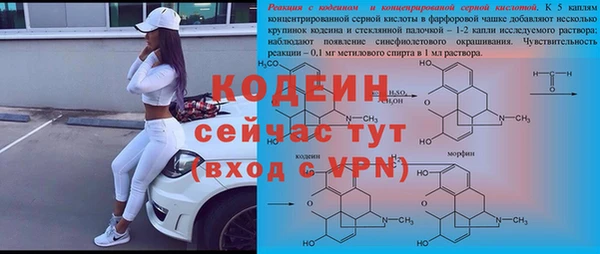 крисы Абаза