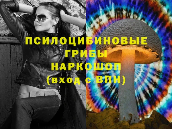 крисы Абаза