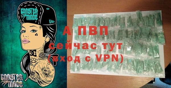крисы Абаза