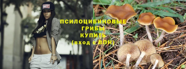 крисы Абаза