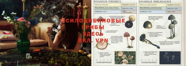 марихуана Абдулино
