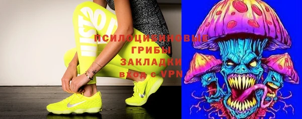 крисы Абаза