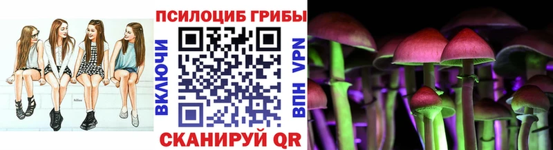 Галлюциногенные грибы Psilocybine cubensis  Истра 