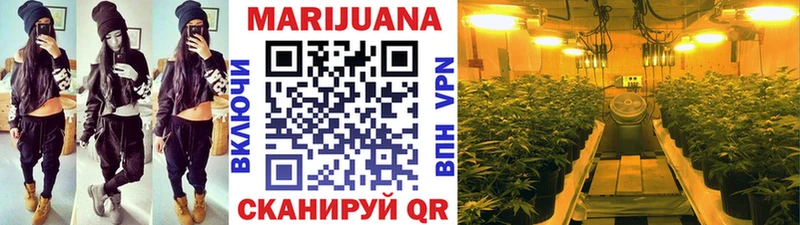 Бошки марихуана OG Kush Истра